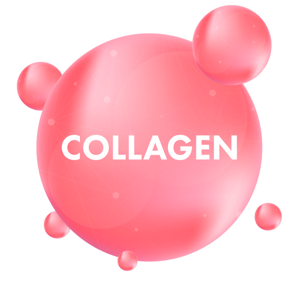 Collagen Supplement