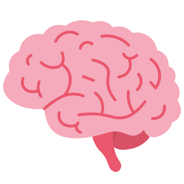 Neuro Supplement