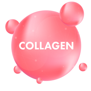 Collagen Supplement