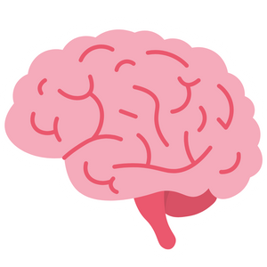 Neuro Supplement