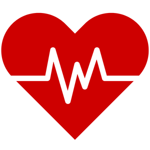 Cardio Supplement