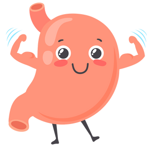 Digestive Health Supplement